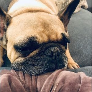 Meet your Posher, Lily